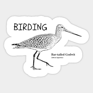 The Godwit Sticker